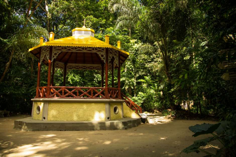 Foto de Bosque Rodrigues Alves - Crédito: BrasilGuias